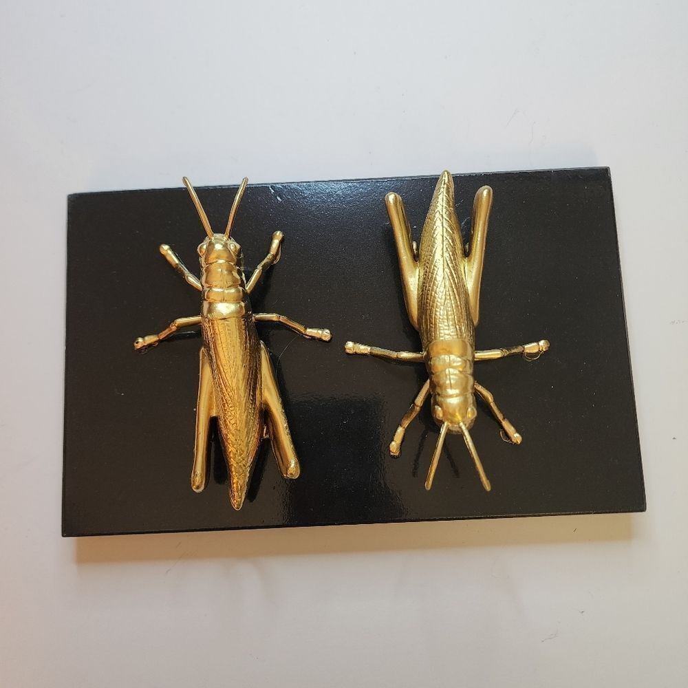 Handmade by Me Grasshopper Bug Art